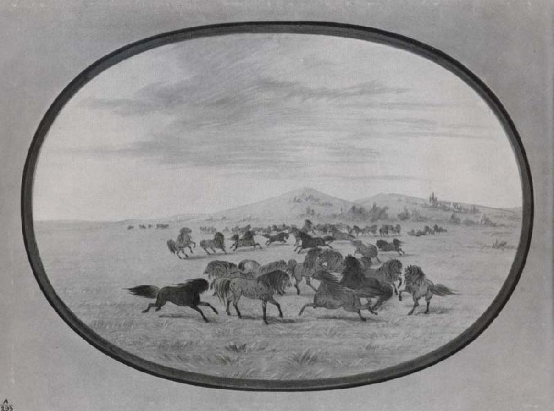 George Catlin Wild Horses at Play